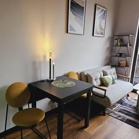 Lägenhet Loft Nad Warta 57
